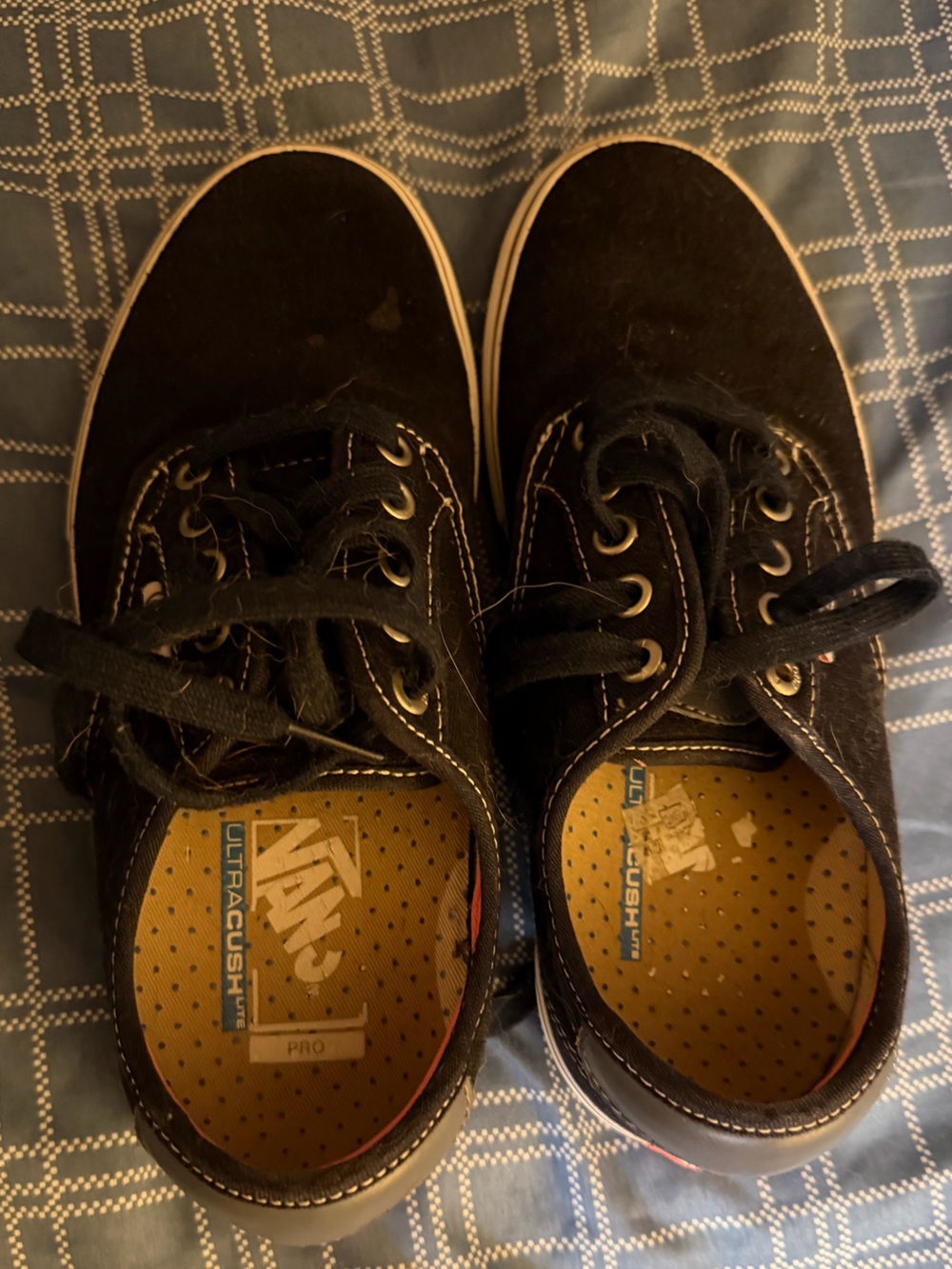 Vans Dark Purple Low-Top Canvas Sneakers with Black Laces